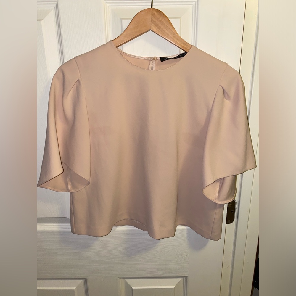 Pink Zara crop blouse